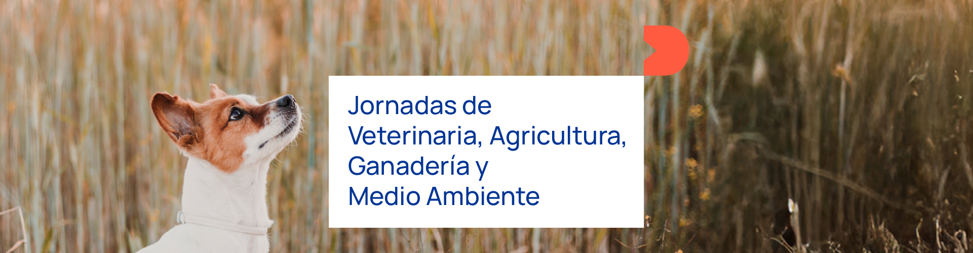 Jornadas de Veterinaria, Agricultura, Ganadería y Medio Ambiente